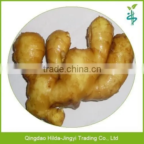2015 new price of fresh ginger, ginger price, ginger
