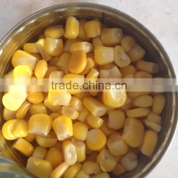 High Quality Canned Sweet Corn Kernel photo-2