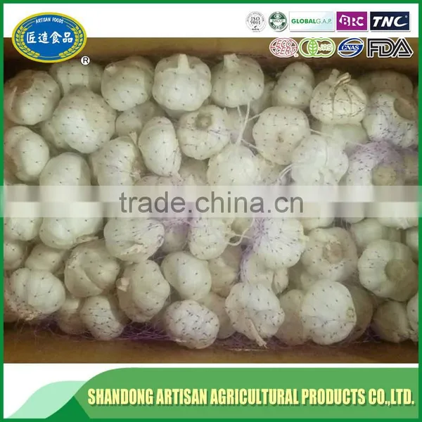 Fresh Garlic Export Company/cheap Price photo-3
