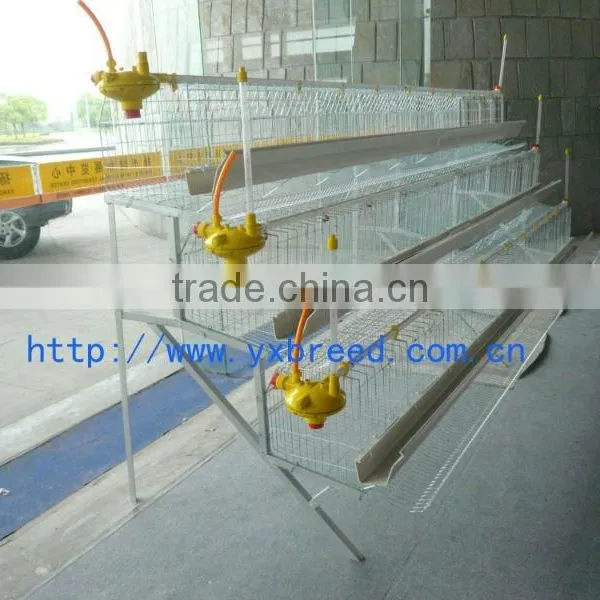 chicken drink system/drinking system/drinker