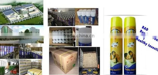 China Manufacturer for Pest Control Items High Quality Cheap Price 300ml 400ml 600ml Insecticide Spray photo-5