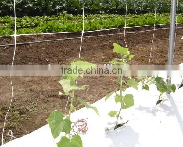 PP Plant Support Net Clamp Netting photo-3
