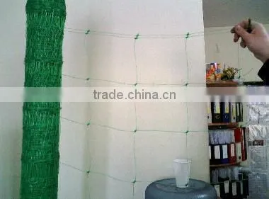 Tomato Supporting Net/Plant Support Net/Vegetable Climbing Net/Cucumber Climbing Net/ Bean Netting/Flower Net photo-3