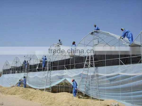 Poly-Film Greenhouse