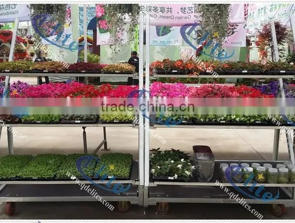 57 Display Danish Flower Trolley Cart With Pulling System for Sale photo-2
