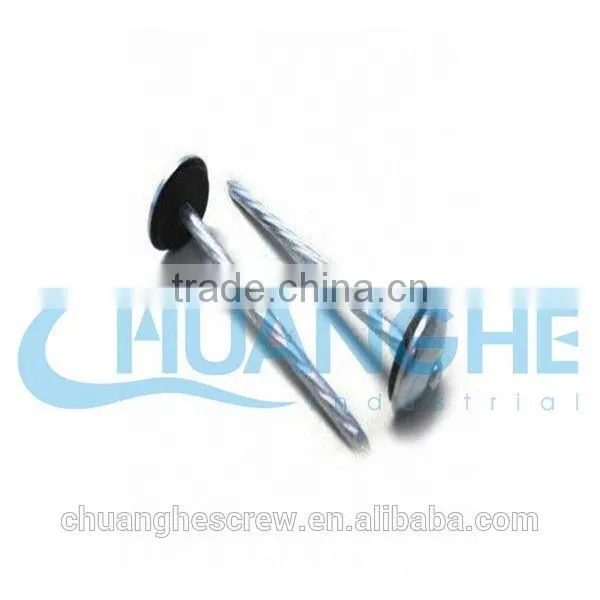 Square Head Corrugated Roofing Nails photo-6