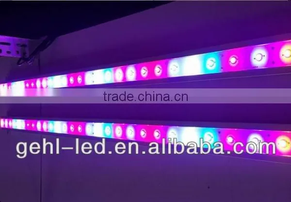 Gehl 2015 Hot Sale Grow Room Led Strip Grow Lights photo-6