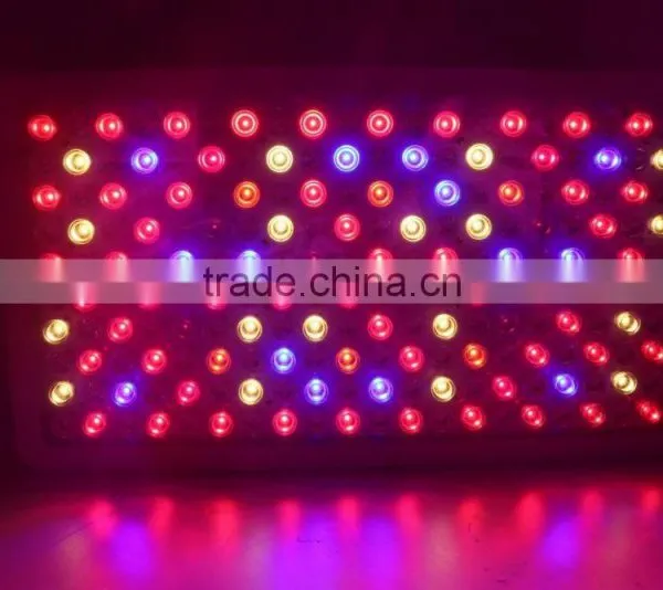 2016 Hot-selling LED Grow Light 1000w Full Spectrum for Greenhouse and Indoor Plant Flowering Growing (Red Blue UV IR) photo-3