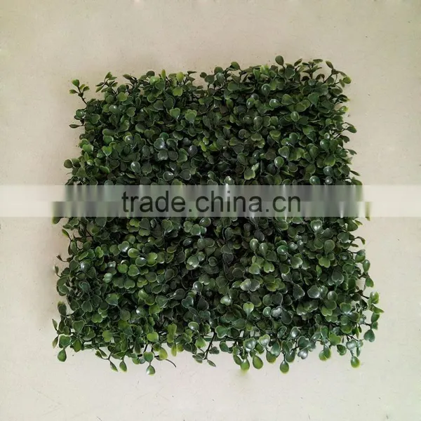 Lifelike Outdoor and Indoor Decoration Artificial Grass Hedge photo-6