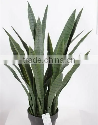 CHY300928 Artificial High Initation Office Decorative Sanseviera Bonsai Foliage Plant photo-2