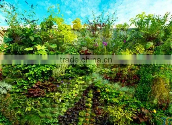 Besr Price Artificial Plant Wall Artificial Plastic Plant Artificial Vertical Grass Wall for Decor photo-5