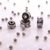 SG Or LFR Track Roller Bearings