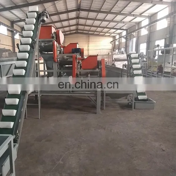 Almond Husking Machine Almond Nuts Cracker Machine Almond Hazelnut Production Line photo-5
