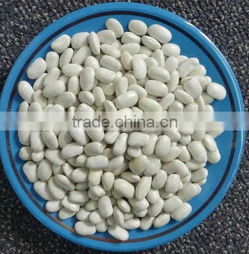 Square White Kidney Beans
