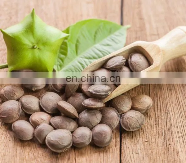 SELLING RAW DRIED SACHA INCHI NUTS FROM VIETNAM photo-4