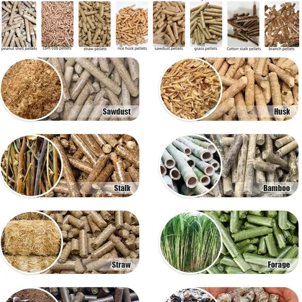 Wood Pellet Mills Rice Husk Pellet Machine Pellet Granulator Machine for Biochar Production Line photo-3