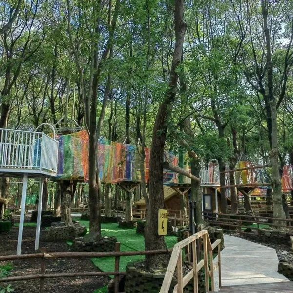Exploration Through the Jungle Jungle Crossing photo-2