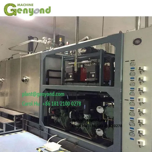 Vacuum Freeze Dried Drying Dryer Machine Food Fruit Honey Powder Instant Coffee Durian Strawberry Flowers Roses photo-5