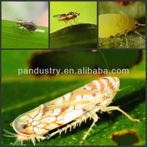 Good Quality Insecticide Imidacloprid 98%TC Pesticides for Agriculture photo-2