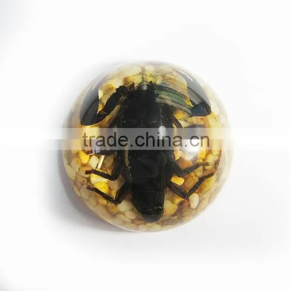 Promotional Gifts Glow in Dark Semicircle Crystal Ornament photo-2