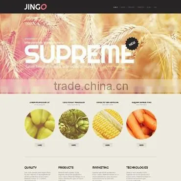 Custom Web Application Development photo-3