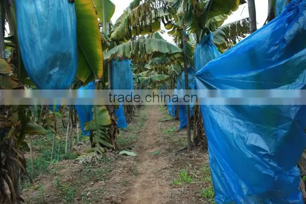 Uv Protection Plastic Banana Bunch Cover 90*200 photo-2