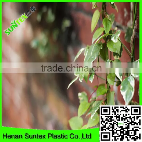 Heavy Duty Long-lasting Polyester Trellis Netting Plant Support Net photo-6