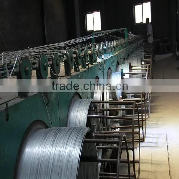 Galvanized Iron Wire Electro Q235 Q195 photo-3