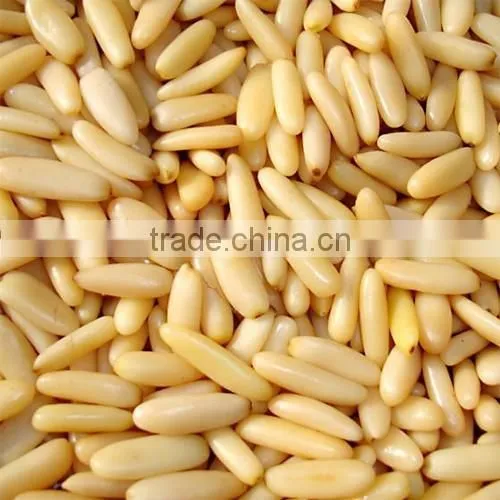 Pine Nut Kernel