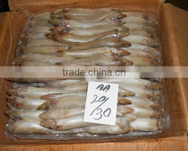 FROZEN LADY FISH photo-2