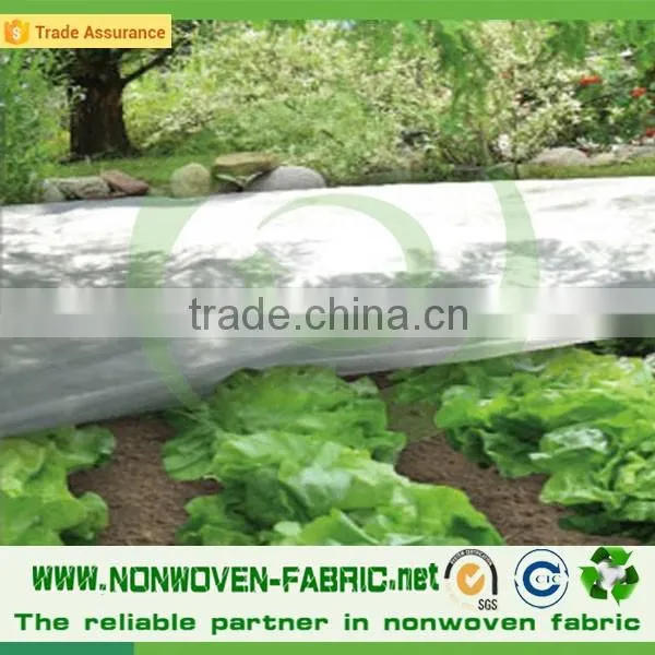 Heavy Black Nonwoven Weed Control Sheet, Weed Barrier, Weed Control Membrane photo-4