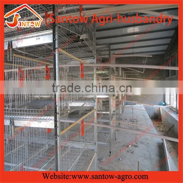 Stable Steel Structure Professional Chicken Egg Layer Cage Chicken Egg Layer House Design