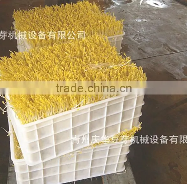 Bean Sprout Machine Mungbean Bean Grwoing Machine photo-4
