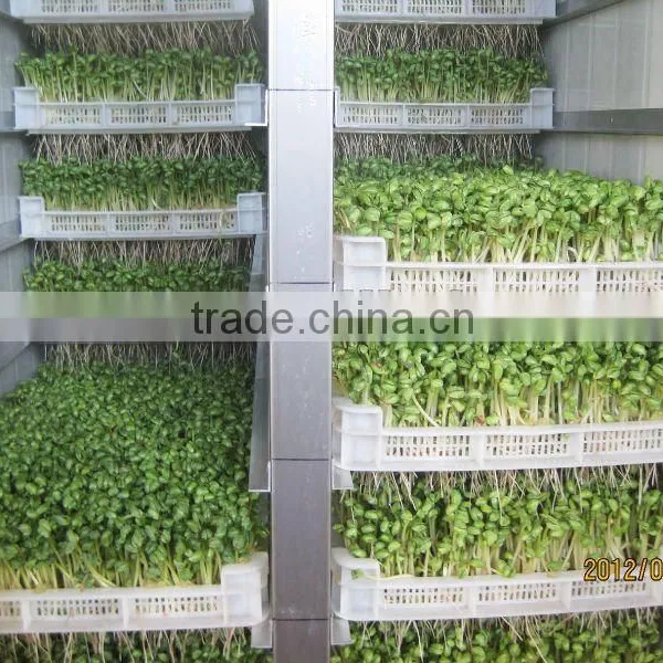 2016 Popular Animal Feeding Machine photo-4