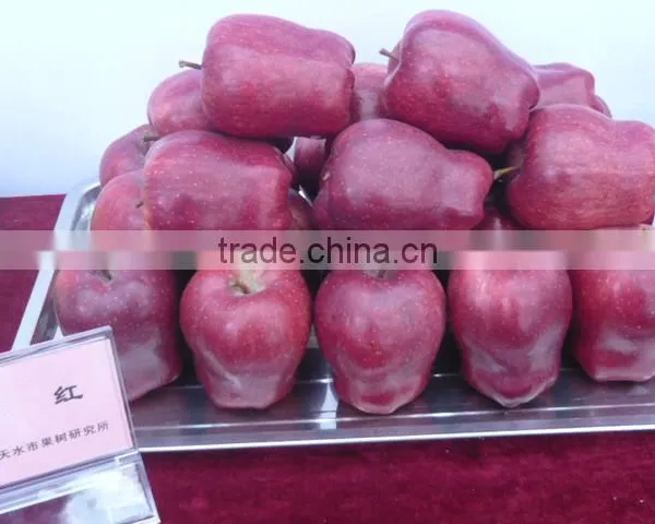 Fresh Red Delicious Apples
