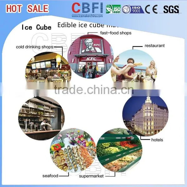 Best Manufacturer Ice Cube Plant In China photo-5