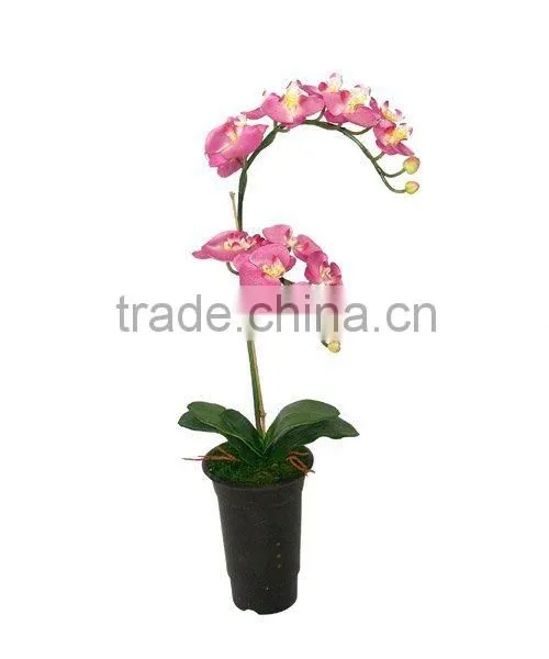 Potted Silk Orchid Flower(Canton Fair Participator)