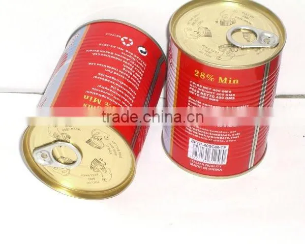 800G China Factory Hot Sell Nature Canned Tomato Paste photo-4