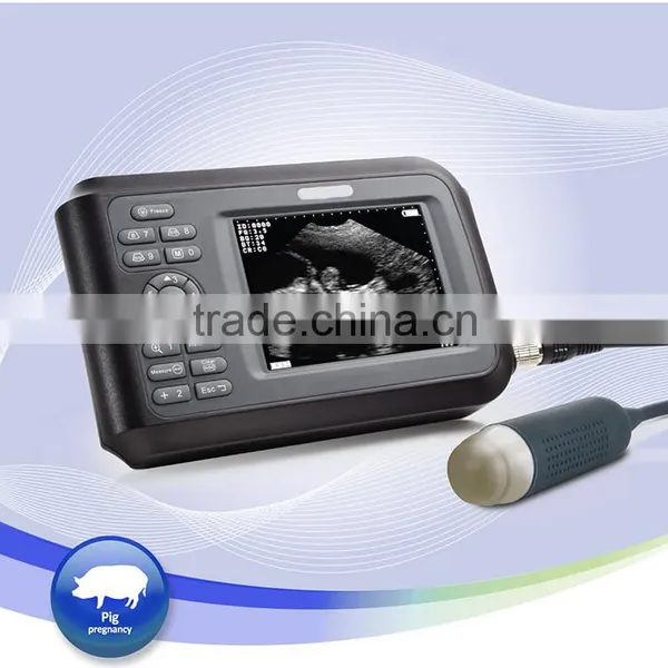 CE, ISO Apprroved Portable Veterinary Ultrasound Machines for Sale photo-2