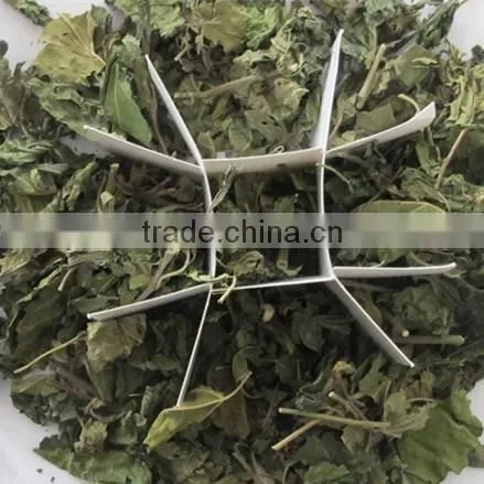 Dried Mulberry Leaf for Tea