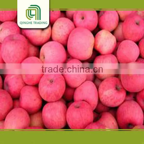 Bulk Fresh Fuji Apple Fruit Products