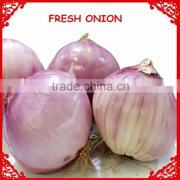 Onion Importers in Quatar/onion Importers in Malaysia/fresh Onion photo-6