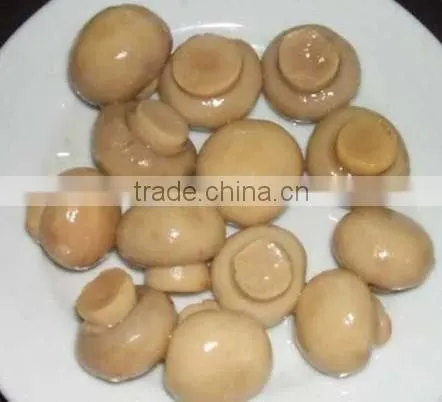 Best Canned Mushrooms Button Mushroom Can Canned Mushroom Brands
