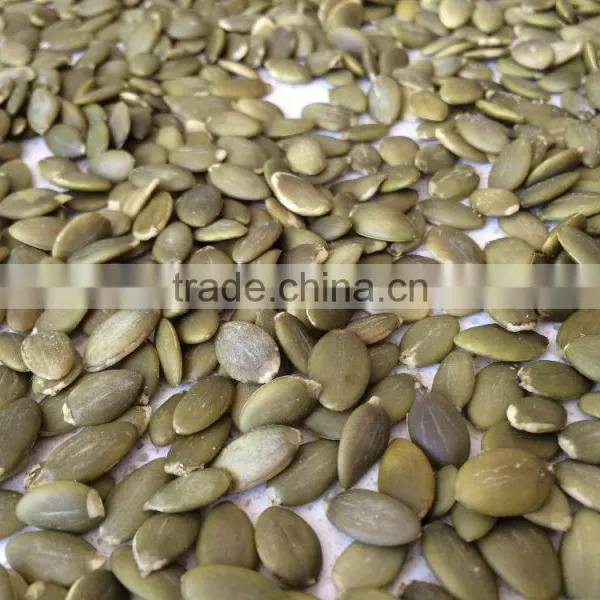 Chinese Grade AA Pumpkin Kernels Without Shell photo-6