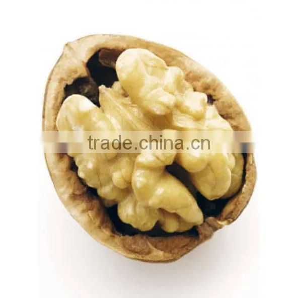 Chilean Walnuts