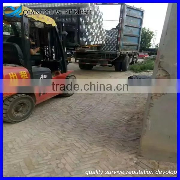 Welded Wire Mesh Fence/ Weld Wire Mesh Panel/ Cheap Welded Wire Mesh China Supplier photo-2