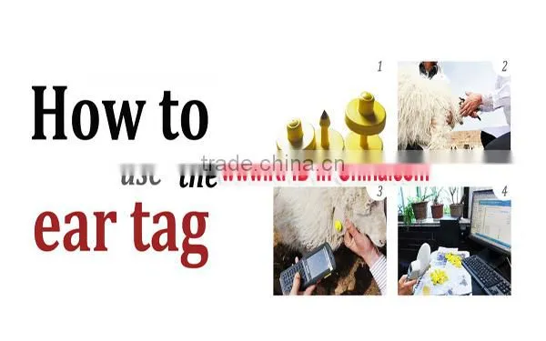 Custom PET RFID Cattle Tagss With UID Printing, HF Passive RFID Animal Ear Tags for Pigs, Sheep, and Cattle photo-2