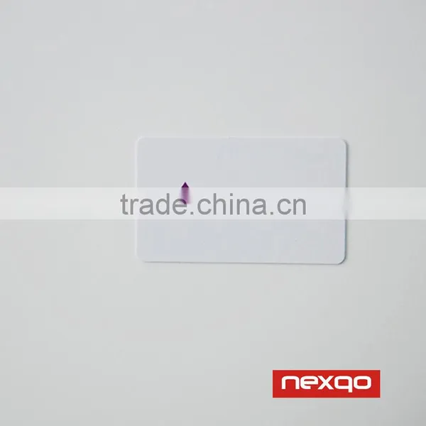 Plastic Small Vip Membership Card With Magnetic Stripe photo-2