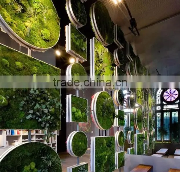 Plastic Green Wall for Living Room Decoration Moss Green Wall Decoration photo-5