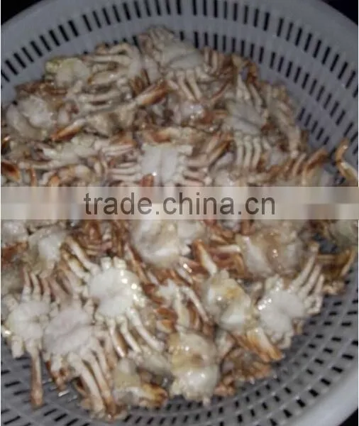 Frozen Sand Crab